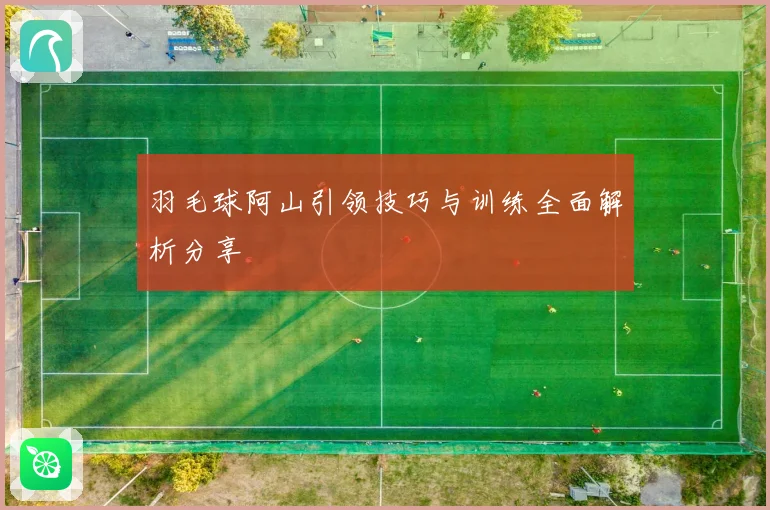 羽毛球阿山引领技巧与训练全面解析分享