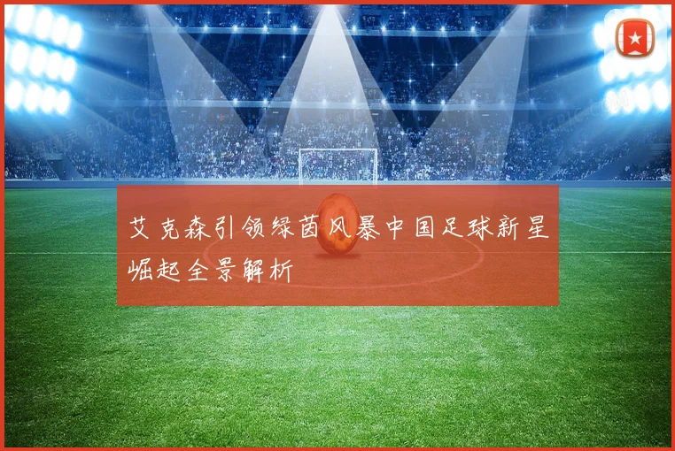 艾克森引领绿茵风暴中国足球新星崛起全景解析