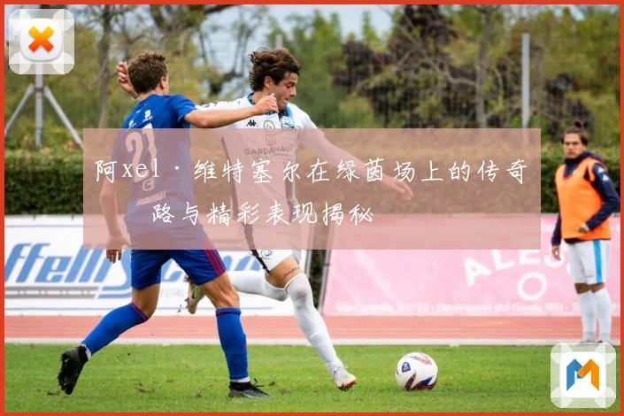 阿xel·维特塞尔在绿茵场上的传奇之路与精彩表现揭秘