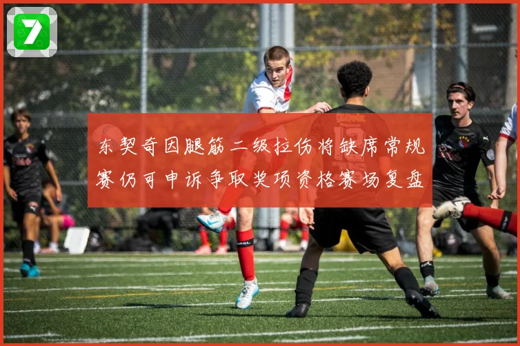 东契奇因腿筋二级拉伤将缺席常规赛仍可申诉争取奖项资格赛场复盘