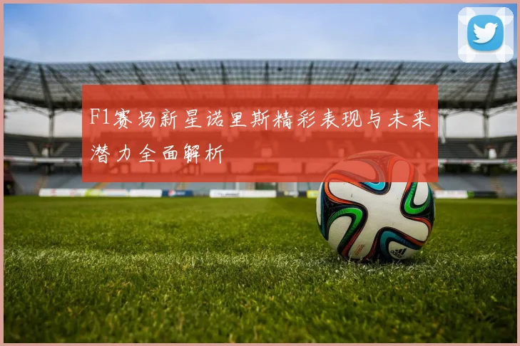 F1赛场新星诺里斯精彩表现与未来潜力全面解析