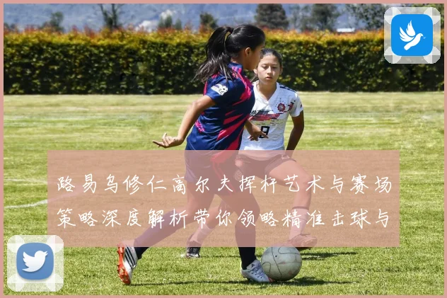 路易乌修仁高尔夫挥杆艺术与赛场策略深度解析带你领略精准击球与竞技魅力