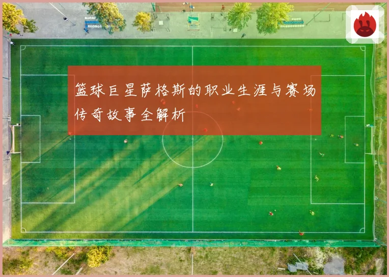 篮球巨星萨格斯的职业生涯与赛场传奇故事全解析