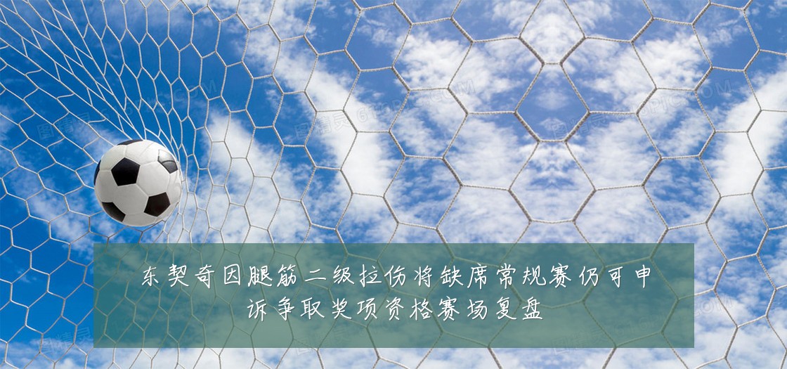 东契奇因腿筋二级拉伤将缺席常规赛仍可申诉争取奖项资格赛场复盘